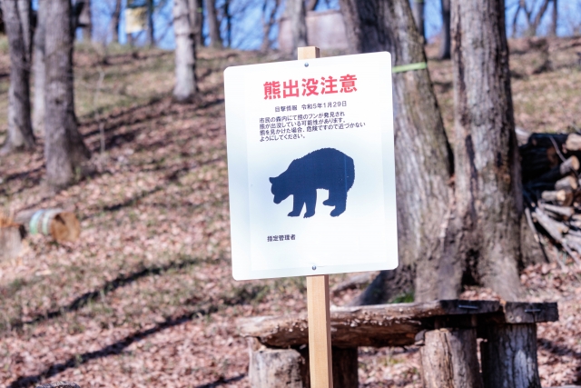 「熊出没注意」の看板